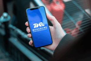 Tencent Music Entertainment Group