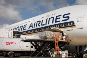 December 2025 Dividends: 3 Blue-Chip Stocks Rewarding Shareholders SIA