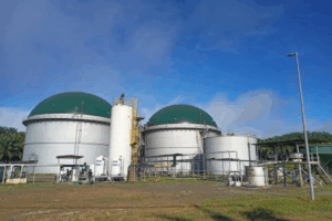 Oiltek International