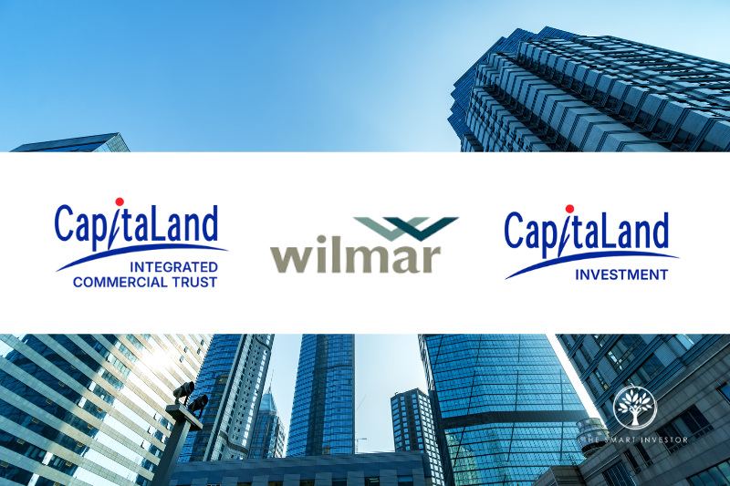 CICT, CLI and Wilmar on the Hot Seat: What You Should Expect Next